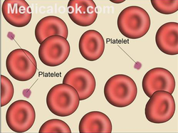 thrombocytes components blood platelets aka